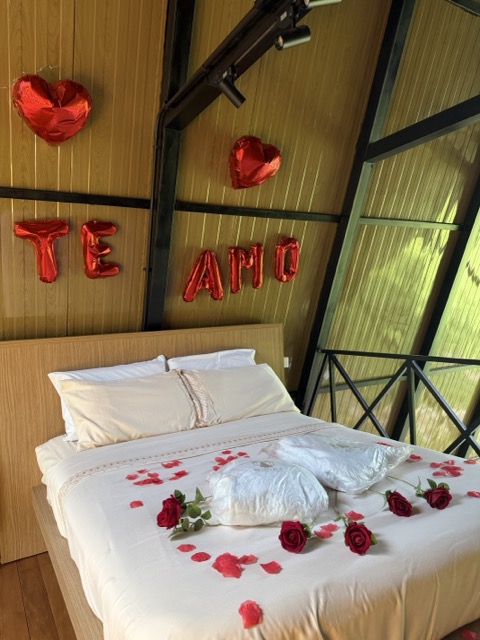 Cama com pétalas de rosas